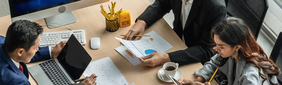Software Consultation