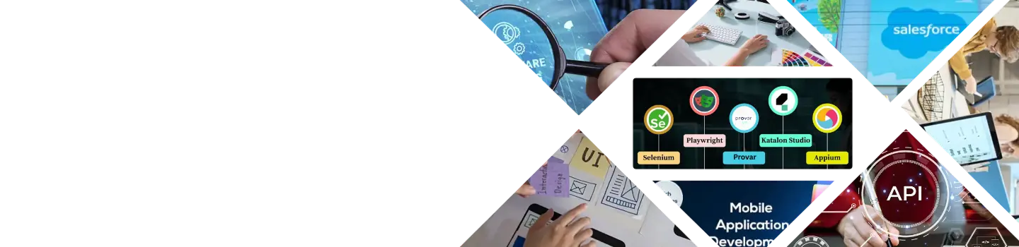 Hero image showcasing software development and IT services